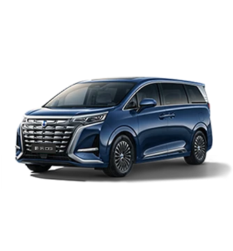 2024款太阳集团D9